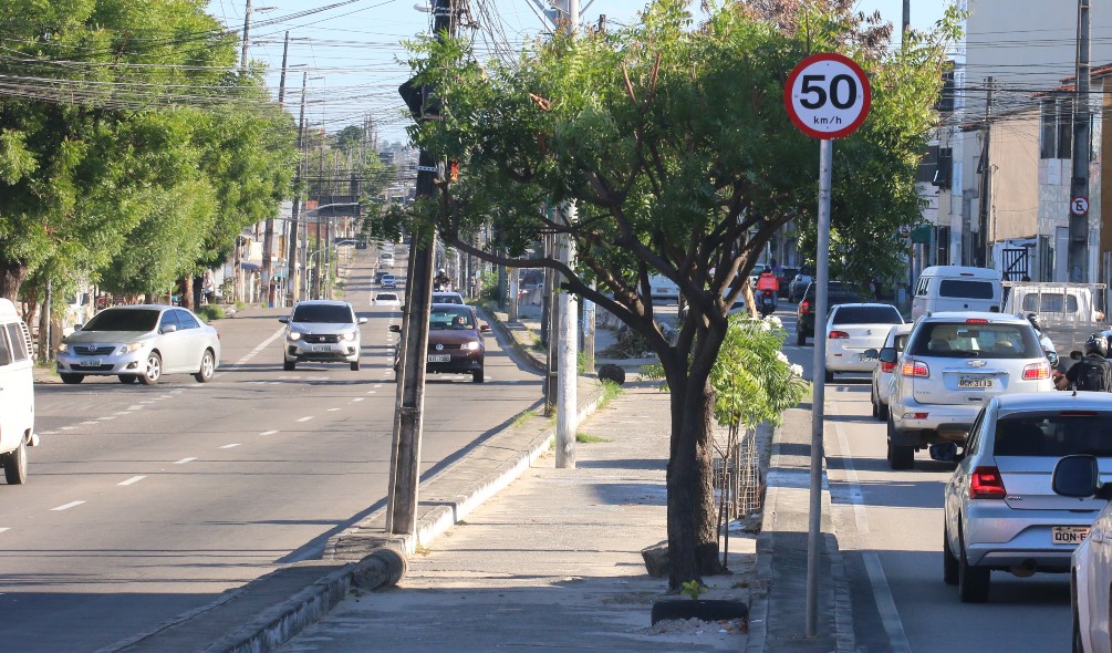 canteiro central de uma avenida